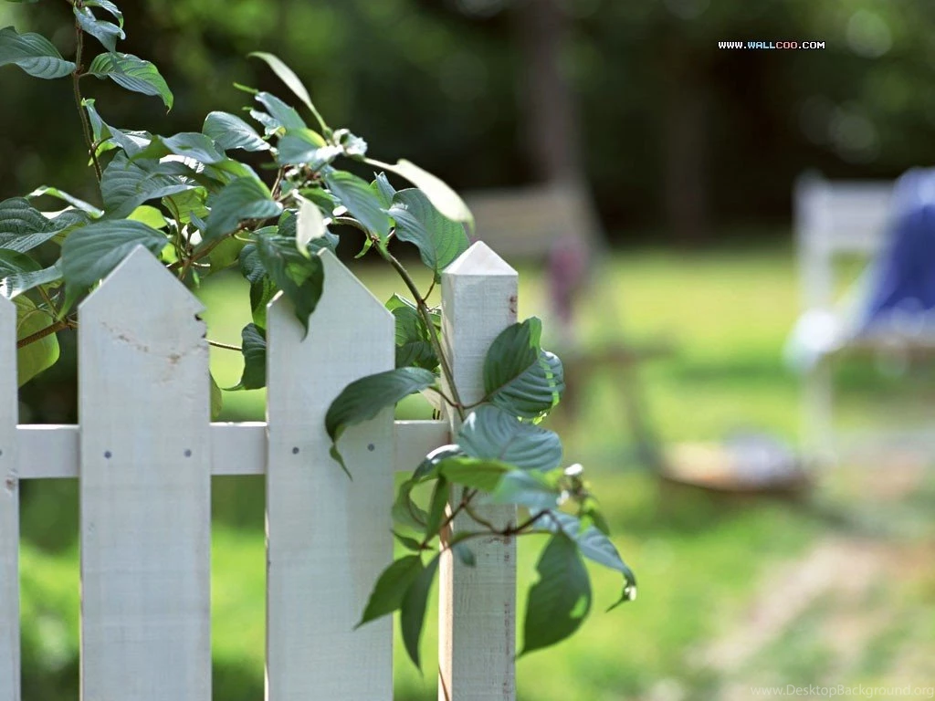 Family Garden   Backyard Gardening Wallpapers 1024x768 NO.6 Desktop ...