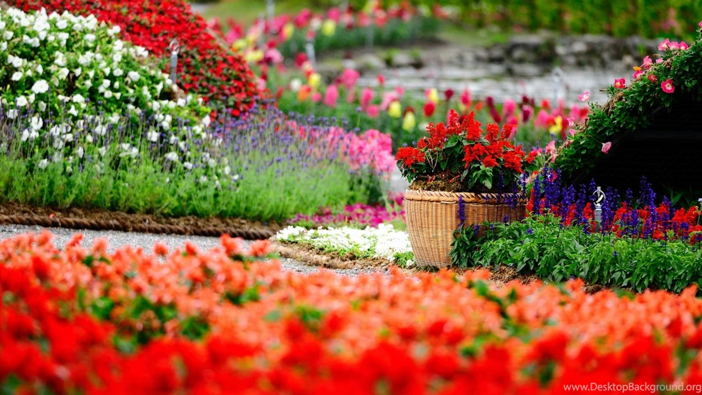 Flower Gardening Wallpapers Desktop Backgrounds