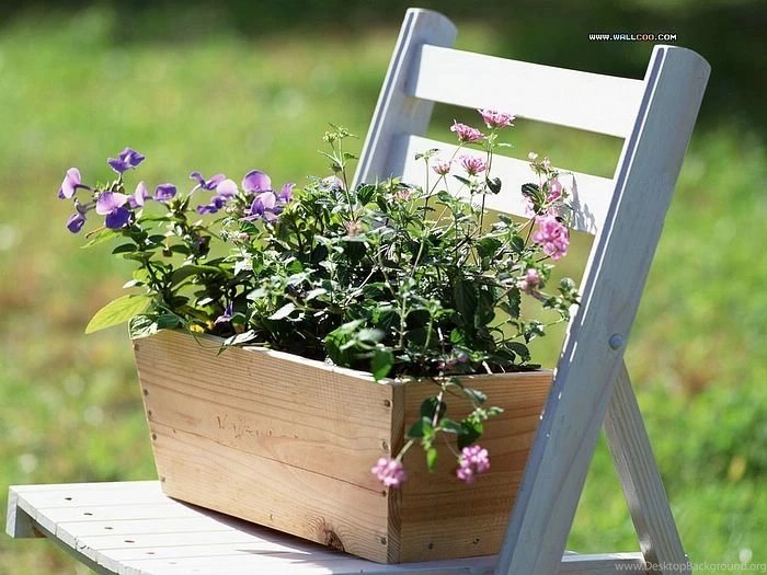 Garden Design Pictures   Backyard Garden Wallpapers2   Wallcoo.net