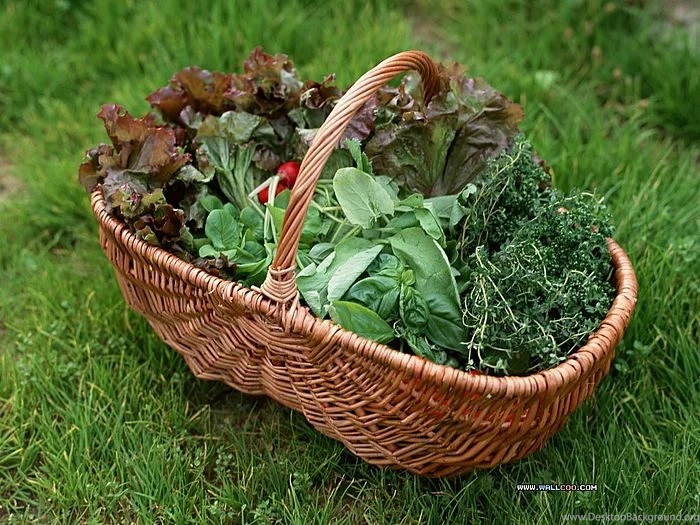 Garden Design Pictures   Backyard Garden Wallpapers30   Wallcoo.net