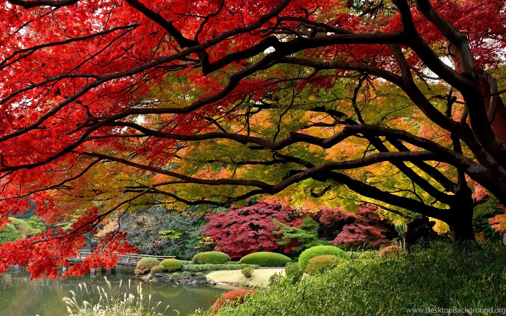 Gardens Wallpaper: Gardening Desktop Wallpaper Backgrounds Cool ...