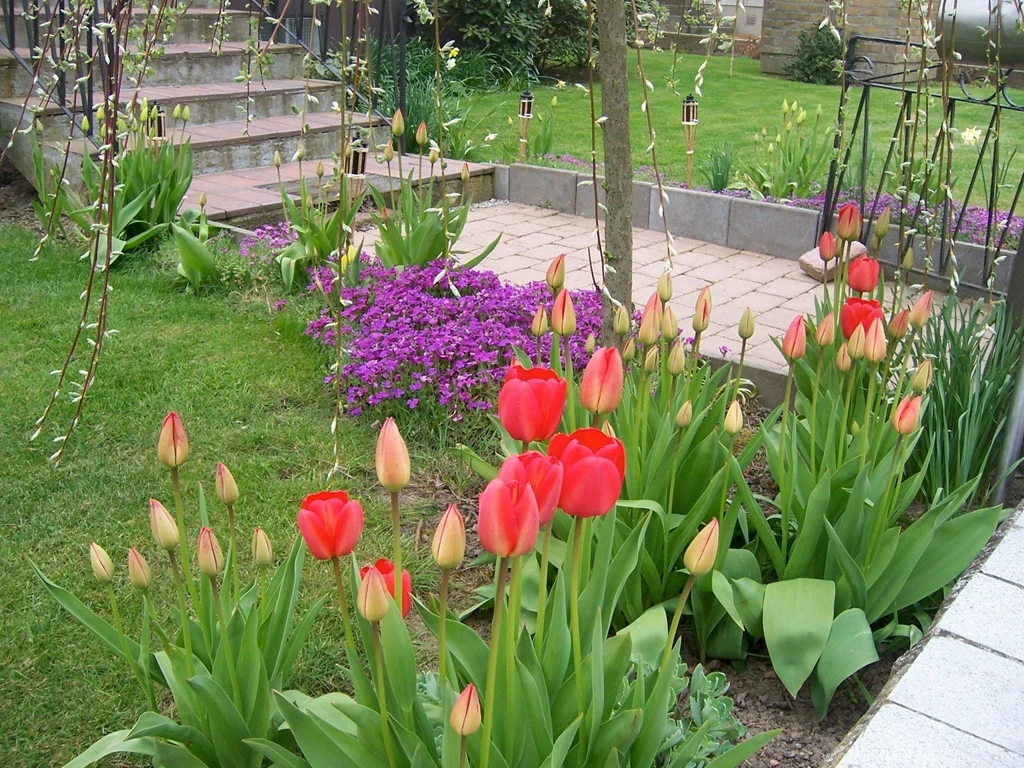 Spring Flowers   Gardening Wallpapers (1183500)   Fanpop