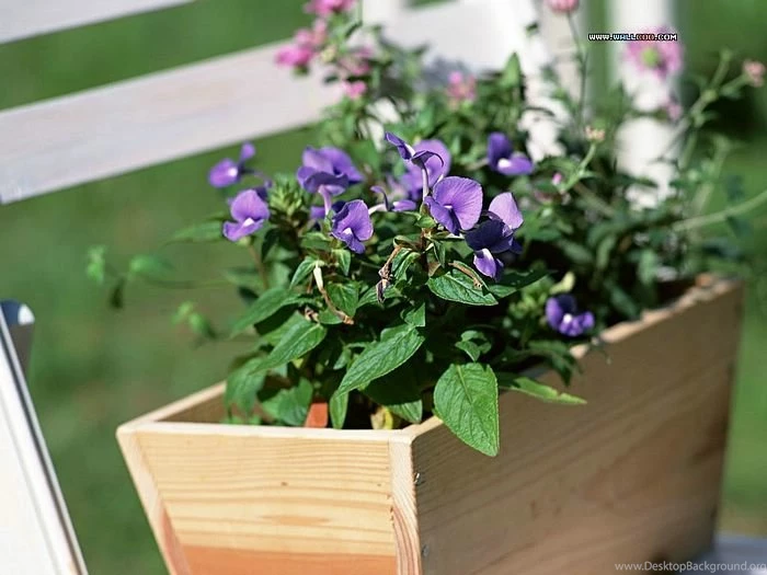 Garden Design Pictures   Backyard Garden Wallpapers4   Wallcoo.net