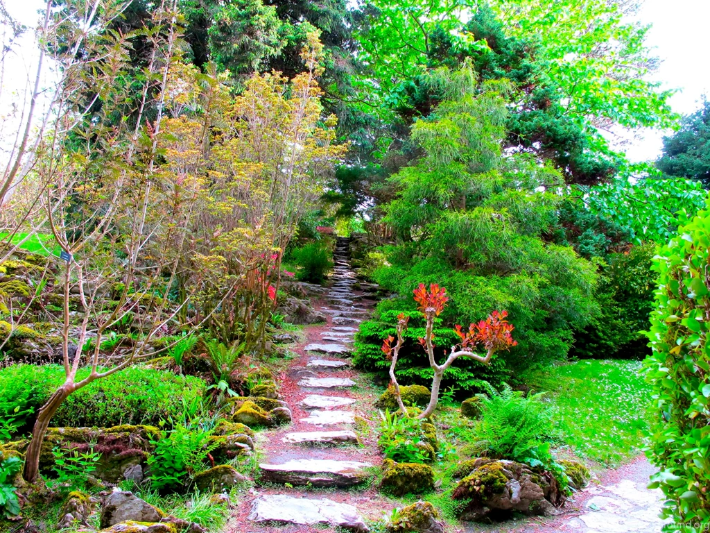 Wallpapers Gardens Muckross House Garden Ireland Nature Photo ...
