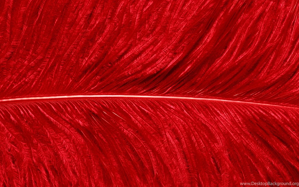 Black Wallpaper: Red Wallpapers Free Black Wallpapers Photos Images ...