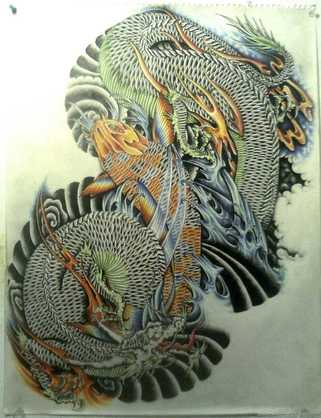 Koi Dragon Pictures HD Wallpapers Pretty