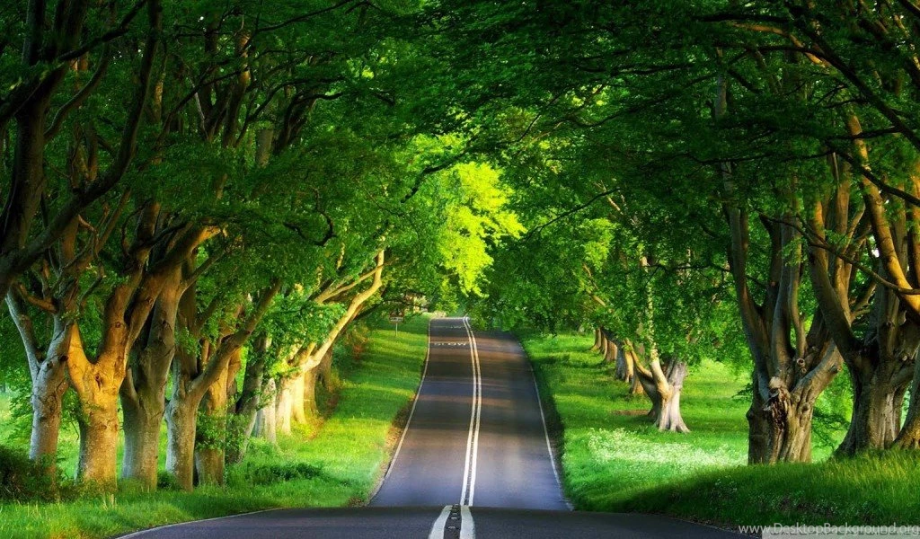 Best Nature Wallpapers Beautiful Pink Landscape Cool Wallpapers ...