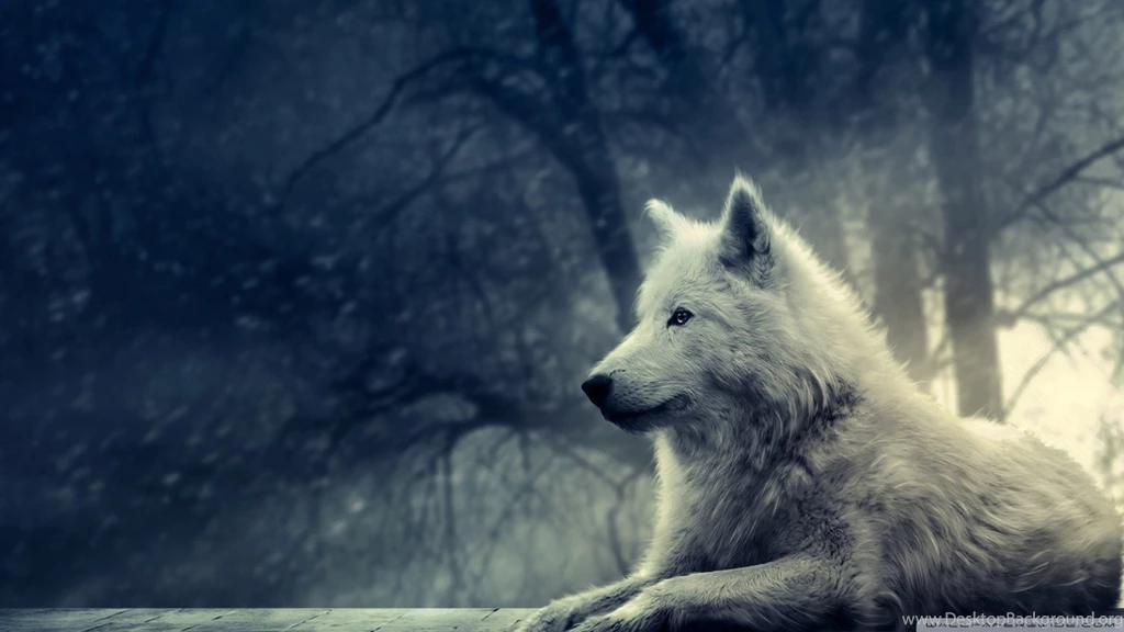 White Wolf Painting HD Desktop Wallpapers : Widescreen : High ...