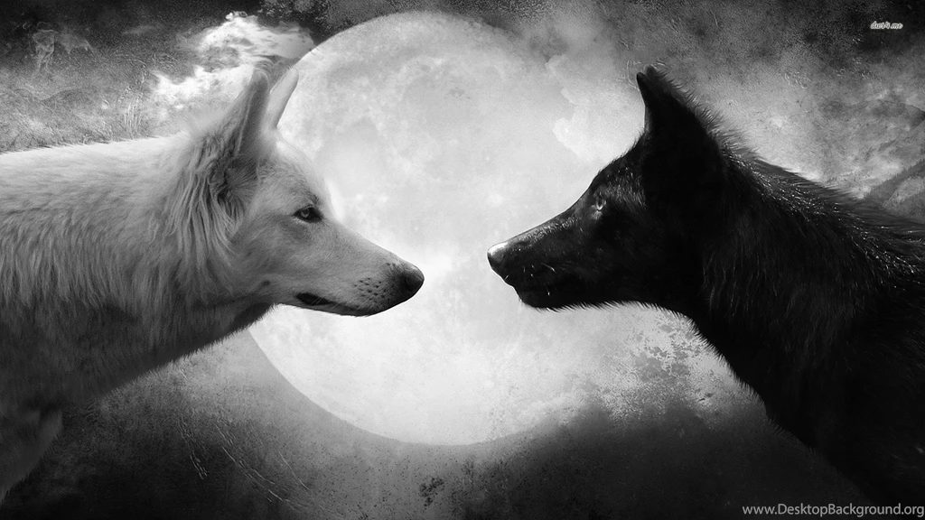 Black And White Wolves, Wolf, 1920x1080 HD Wallpapers And FREE ...