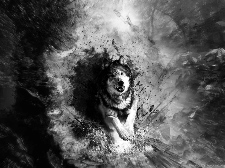 Wallpapers Abstract Art Black And White Wolf