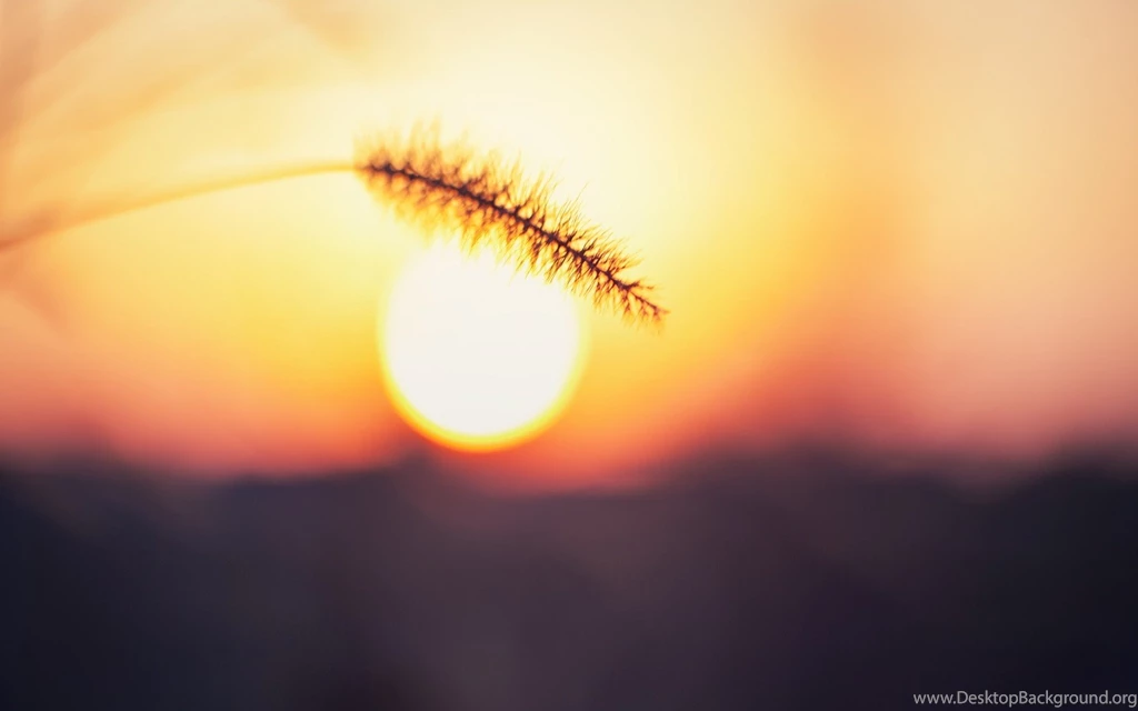 Download Nature Sun Wallpapers 1920x1200
