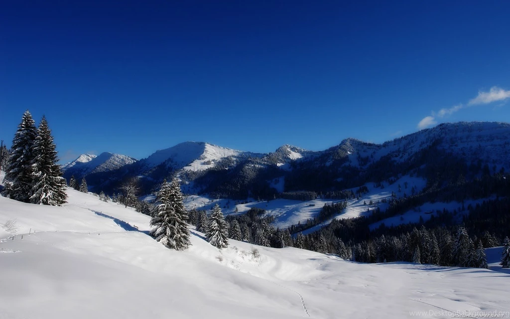 Wallpapers Proslut: Full Size Ice Mountains Forest HD Nature ...