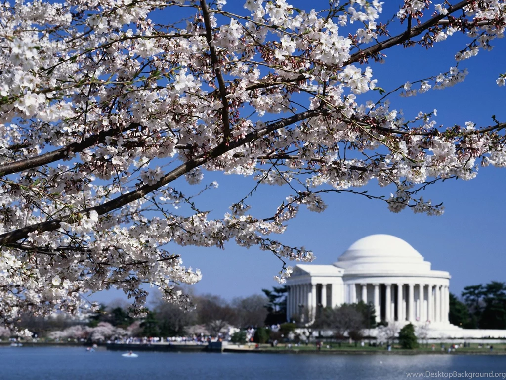 Jefferson Memorial Washington Dc Wallpapers