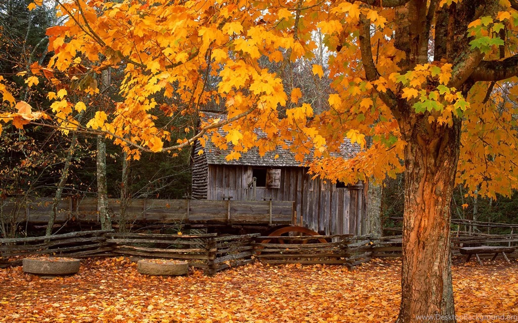 Widescreen Wallpapers Of Beaitiful Nature (Vol.5) 1440x900 NO.15 ...