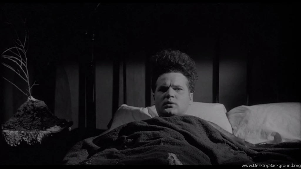 Eraserhead « An Uncommon Collection Of Quotes And Thoughts
