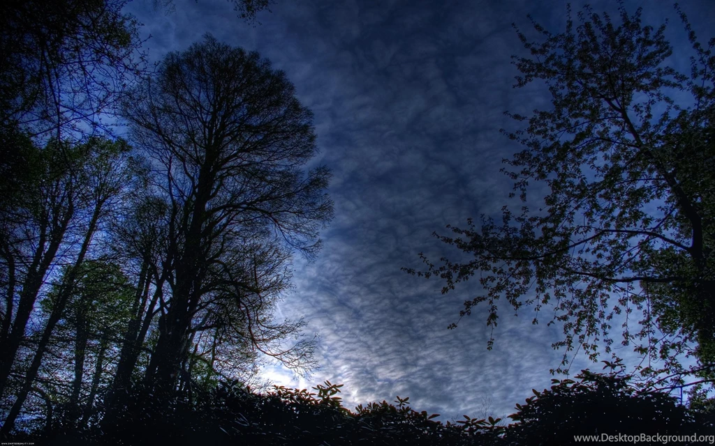 Blue And Black Wallpapers   Color Wallpapers