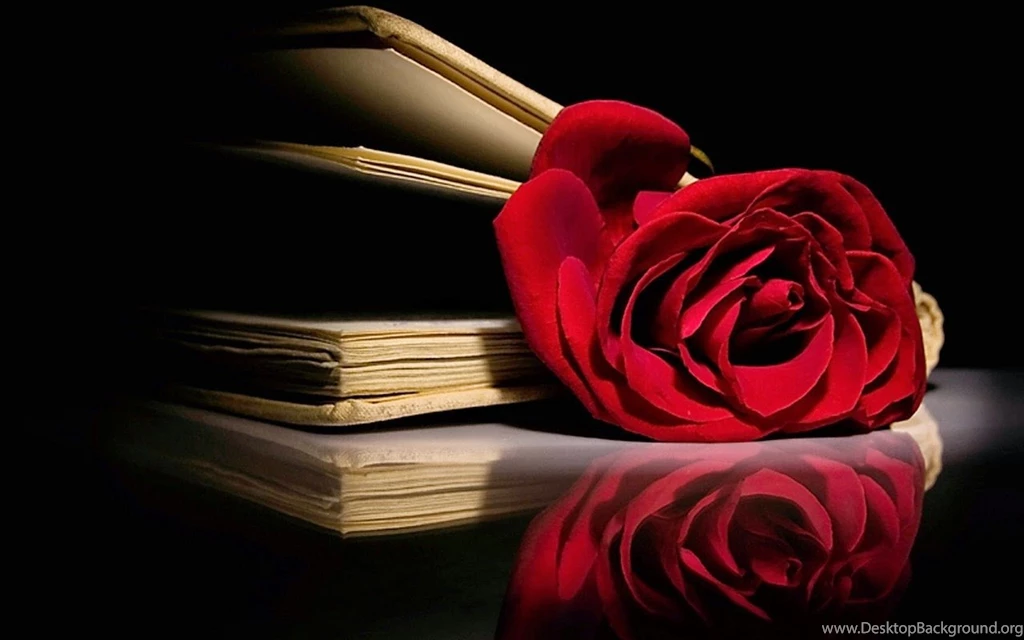 Beautiful Valentines Day Red Rose Images In Full HD