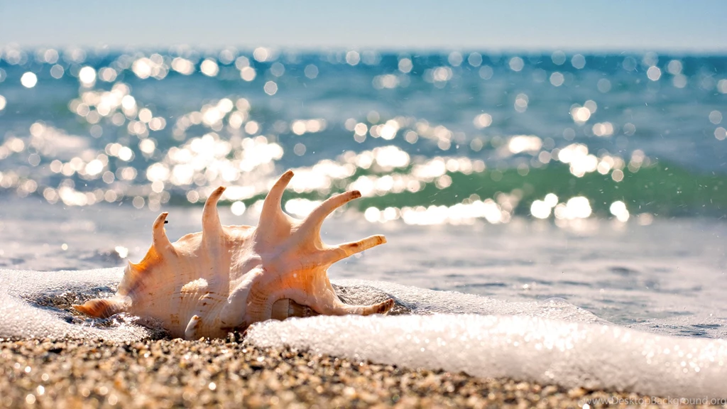 Wallpapers, Desktop, Beach, Wallpaper, Computer, Backgrounds ...