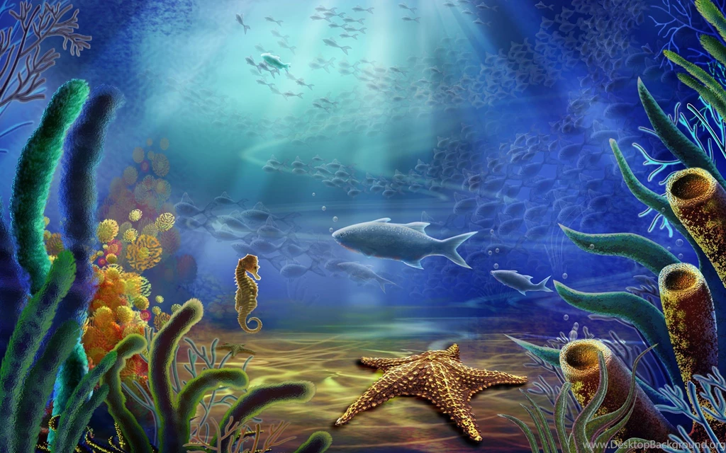 Ocean Fish Starfish Underwater Sea Wallpapers