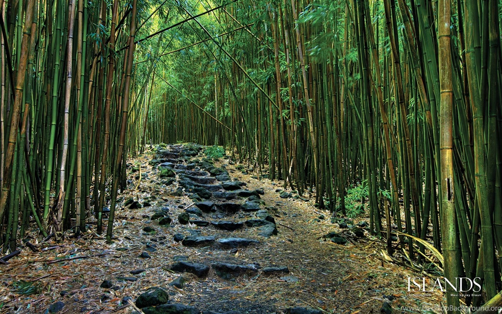 2015 10 08   Page 173