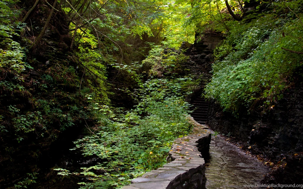 Download Wallpapers 3840x2400 Forest, Path, Steps, Nature Ultra HD ...