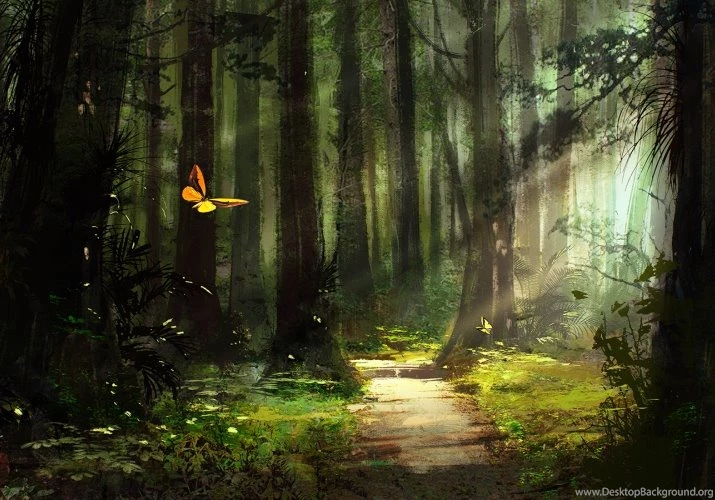Butterflies Flying In Beautiful Forest Path Covred In Trees ...