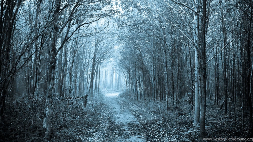 Download Windows 10 Wallpapers HD Photos