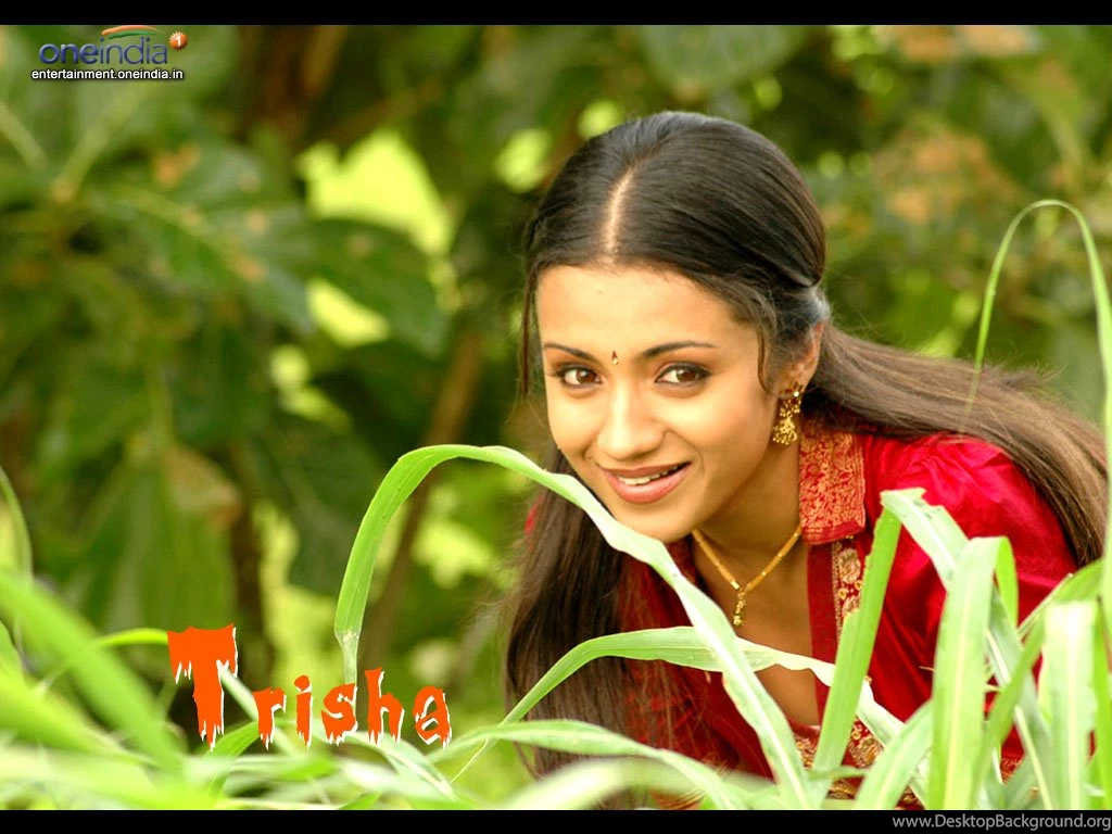 Wallpapers Trisha Saree Hot Photos Of In 1024x768