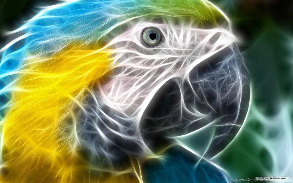 Animals Pictures Hd Download Hd Wallpapers