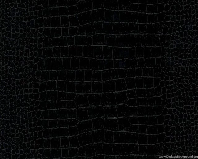 1466 18 Decora Natur 5 Wallpaper, Roll   Contemporary   Wallpapers ...