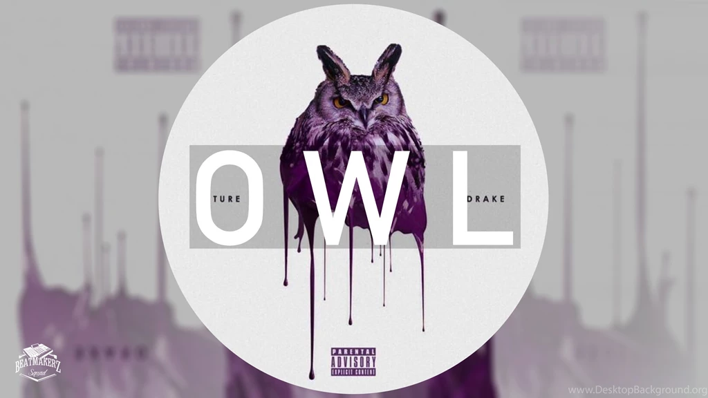 Drake Feat. Future Type Beat Owl (Prod. By Moeez & Soul Ali ...