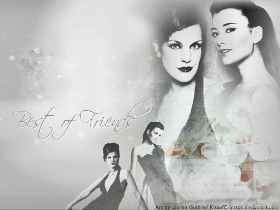 Pauley And Cote Pauley Perrette Wallpapers (14354630) Fanpop