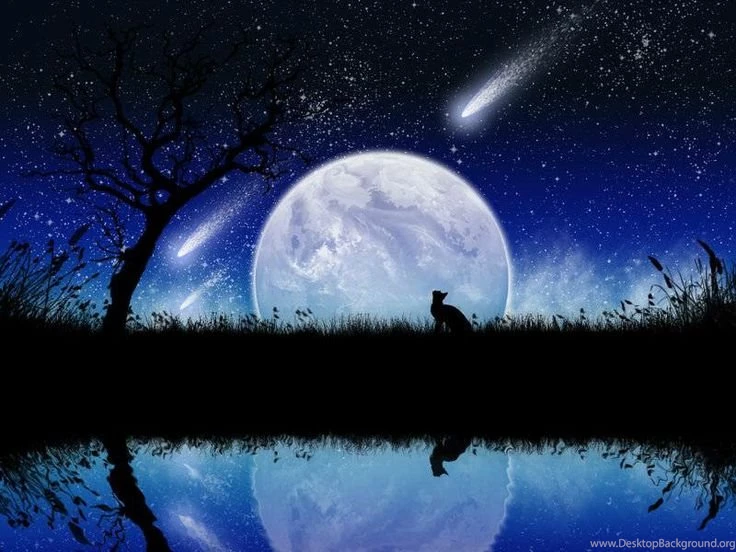 MOON ¸.•♥•.¸✿¸.•♥•.¸DREAMS On Pinterest