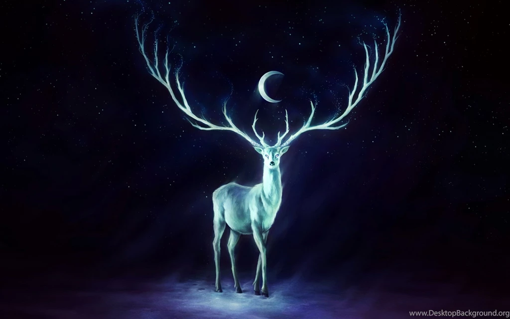 Wallpapers Stars Deer Horns Moon 2560x1600