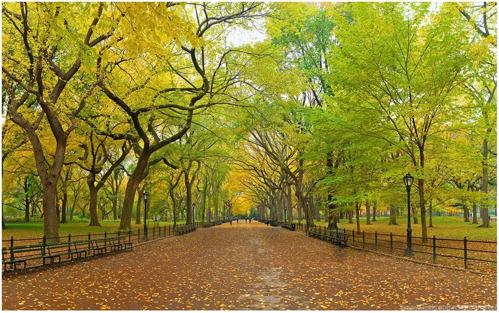 Central park new york wallpaper 215.jpg
