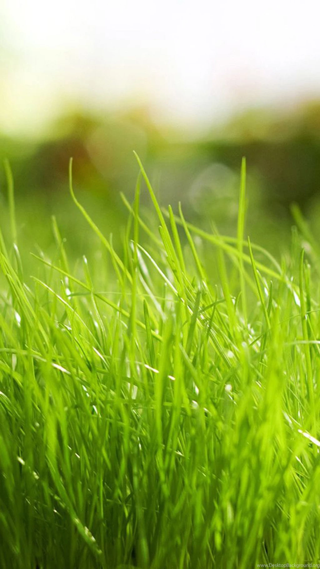 Samsung Galaxy S5 Wallpapers HD, Galaxy S6 Wallpapers Part 307