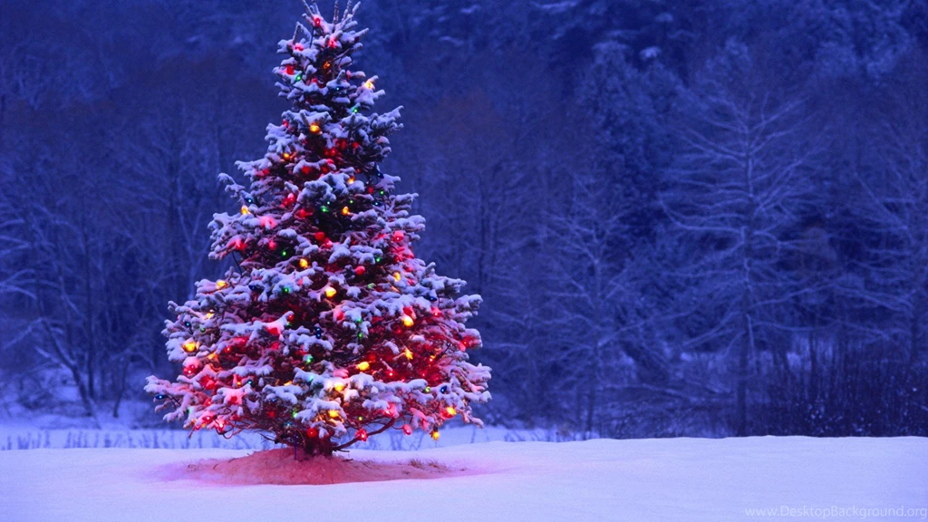 40+ Colorful Christmas Tree Wallpapers
