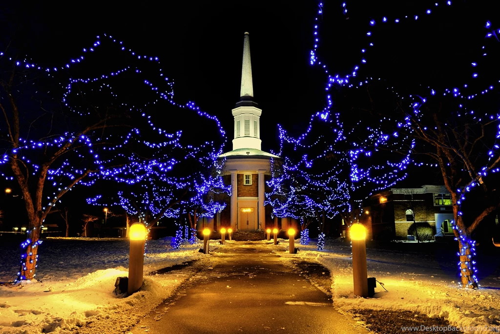 Lighted Christmas Trees Full HD Wallpapers