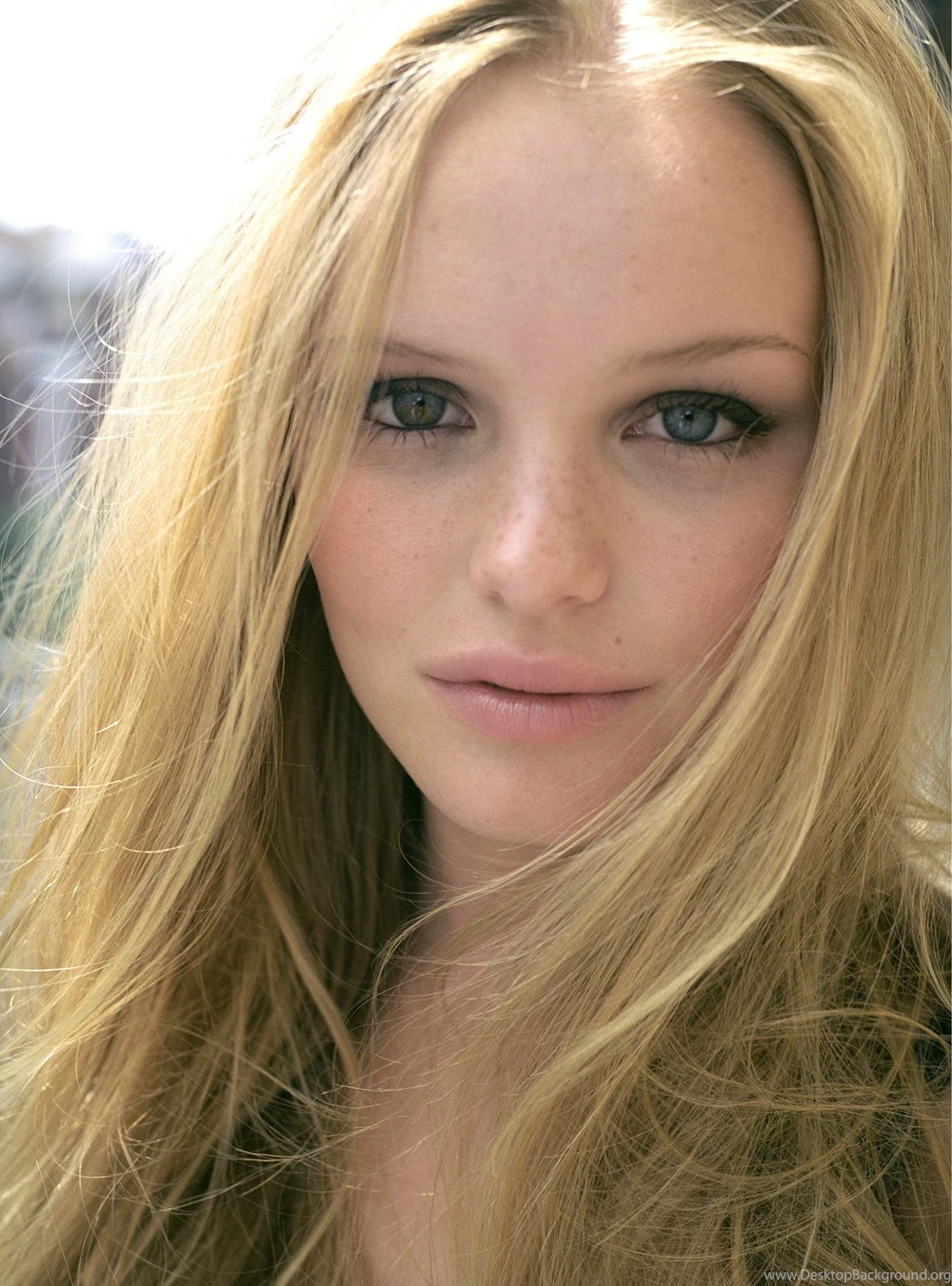 Kate Bosworth 11 Wallpapers Collection