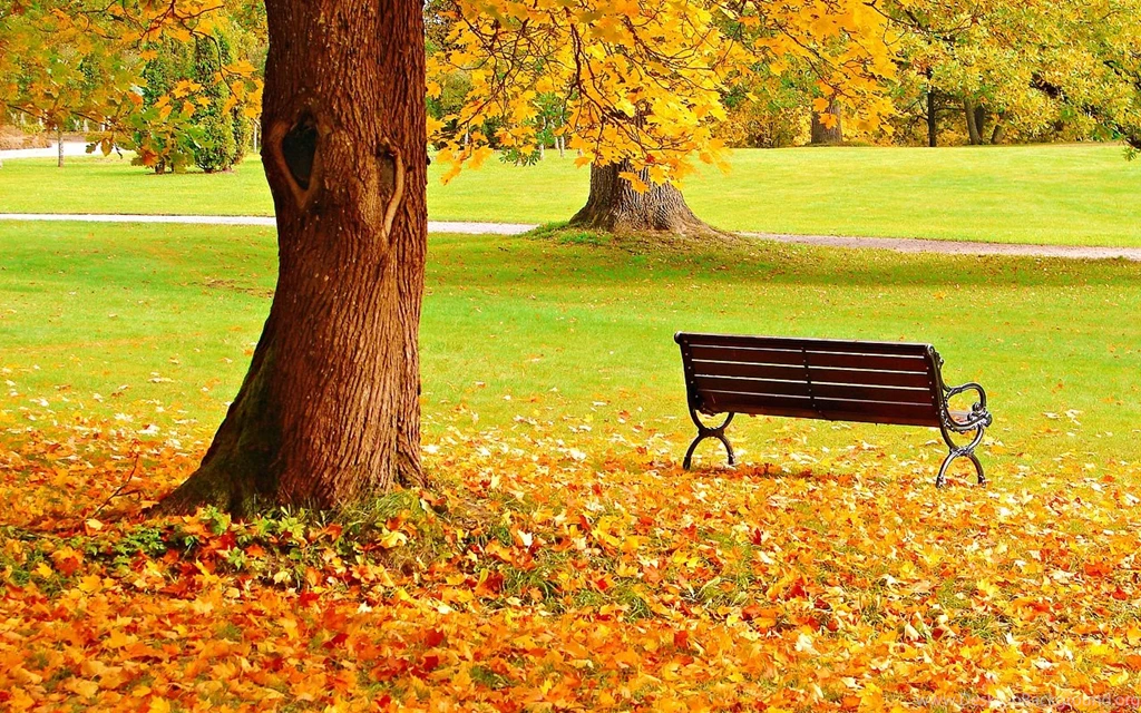 Autumn Wallpapers
