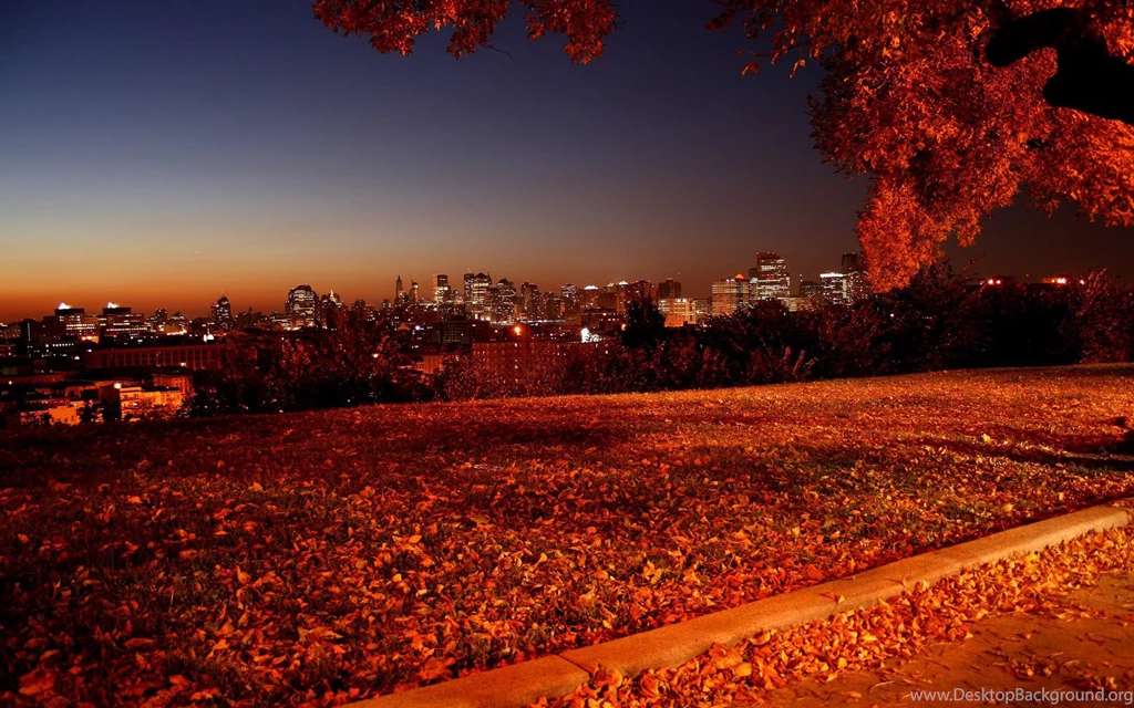 Deers Autumn Wallpapers Pictures Photos Images