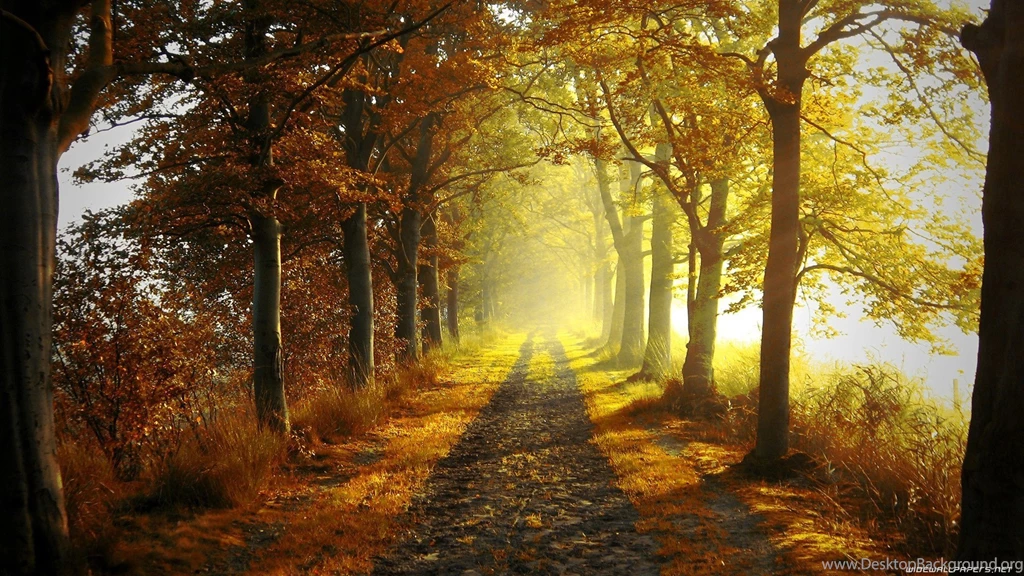 Download Autumn Paradise Wallpapers