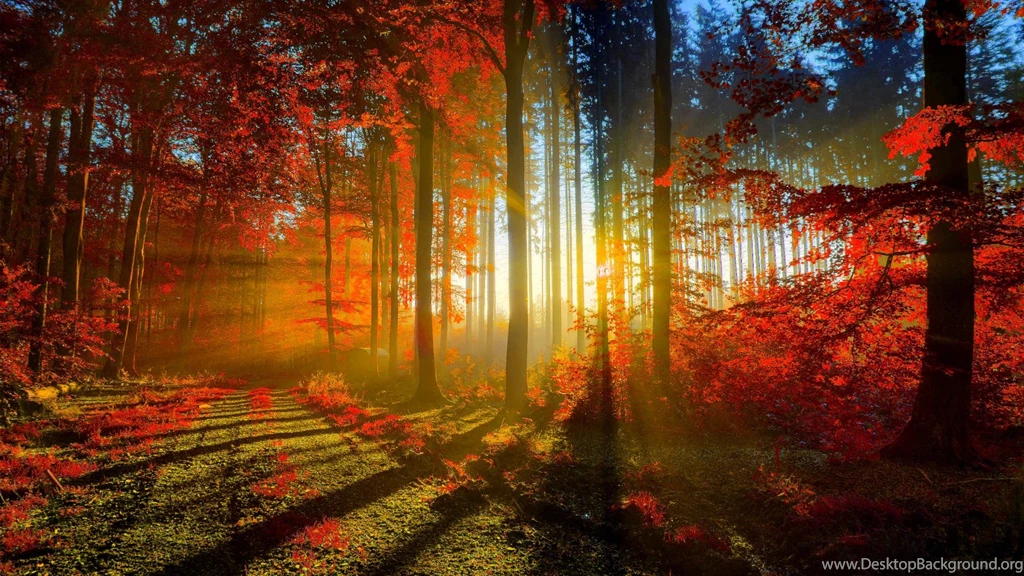 HD Autumn HDWPlan