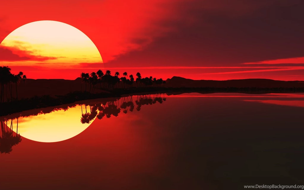 Top Scarface Sunset Wallpapers 01 Wallpapers