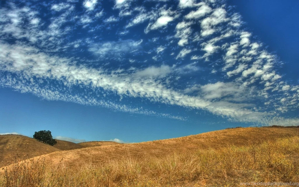 Blue Sky, The Yellow Prairie Wallpapers - Landscape Wallpapers ...