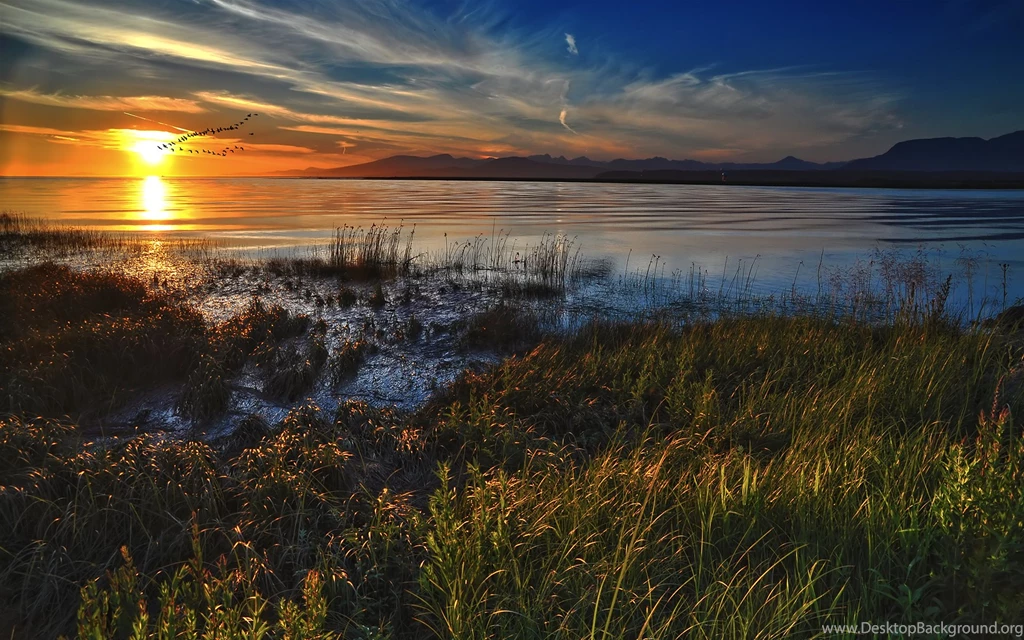 Daily Wallpaper: Prairie Wilderness