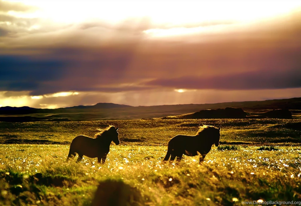 Prairie Wallpapers HD