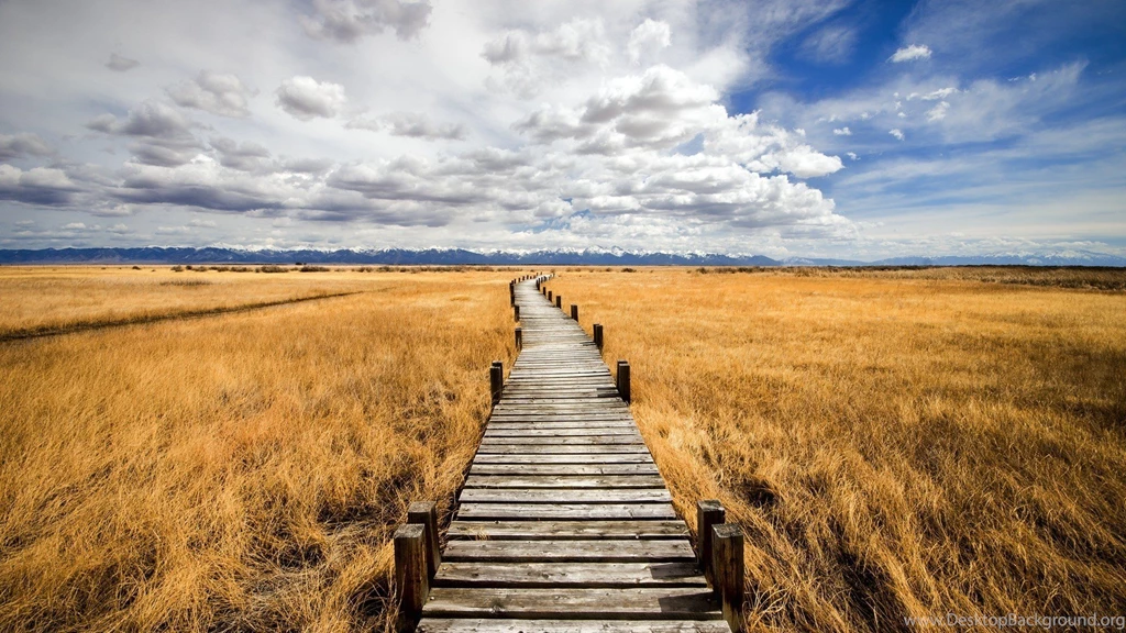 Boardwalk On Grassy Wetlands The Prairie Wallpapers