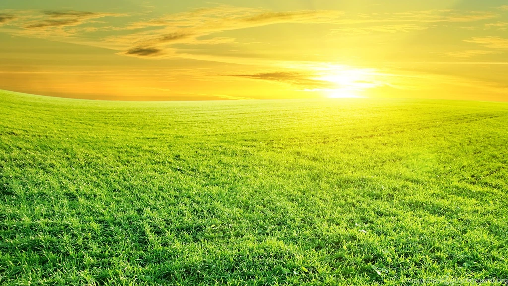 The Most Beautiful Spring Prairie Wallpaper, HD Wallpapers Downloads