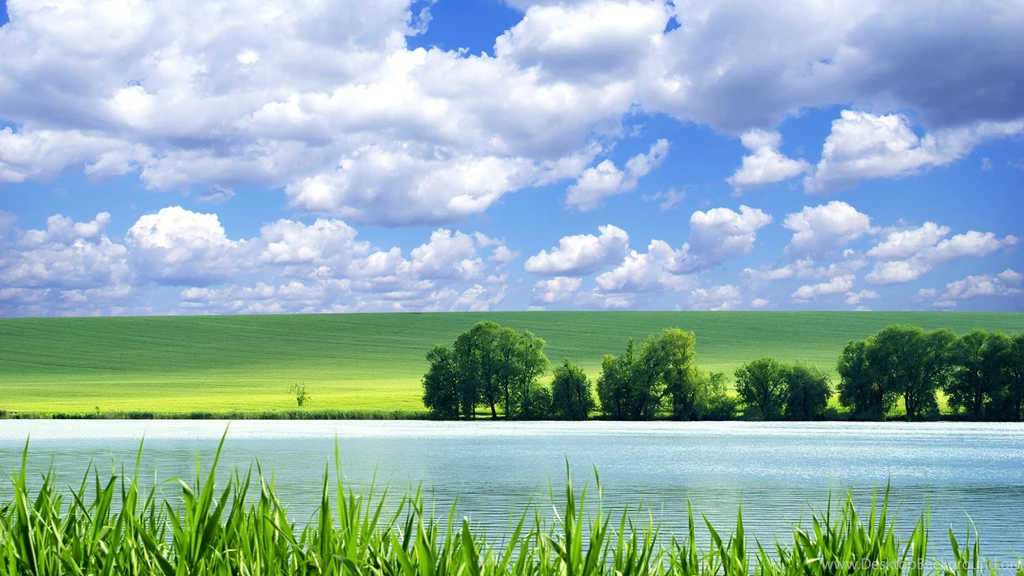 Green Wallpapers HD, Green Backgrounds, Green Pictures And Images ...